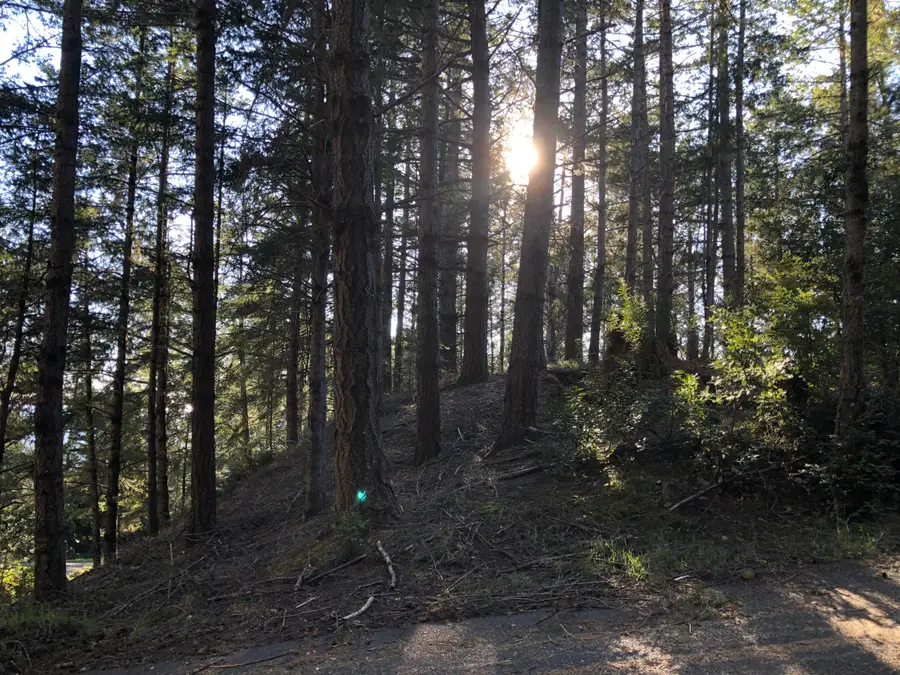 8 Buckhorn Court, Shelter Cove, CA 95589 - Image #2