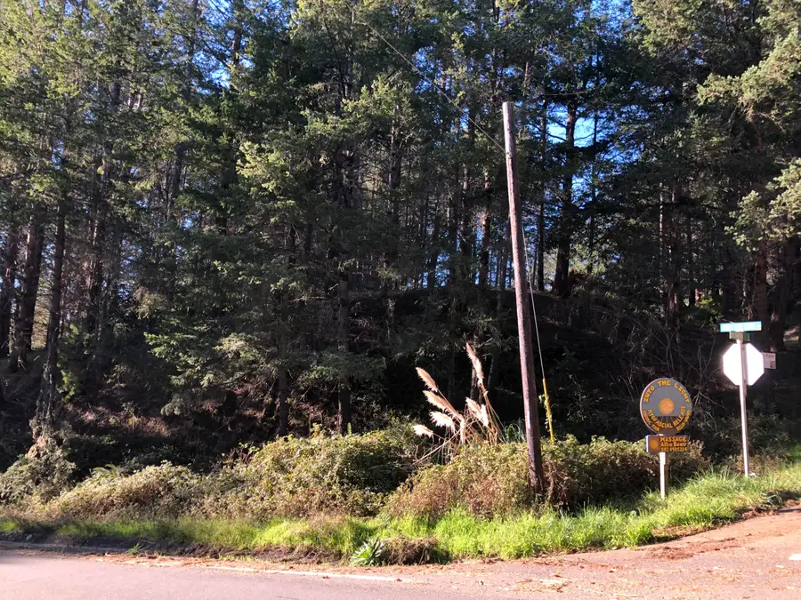 8 Buckhorn Court, Shelter Cove, CA 95589 - Image #3