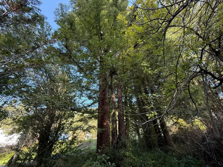 220 Lum Street, Weott, CA 95571 - Image #2