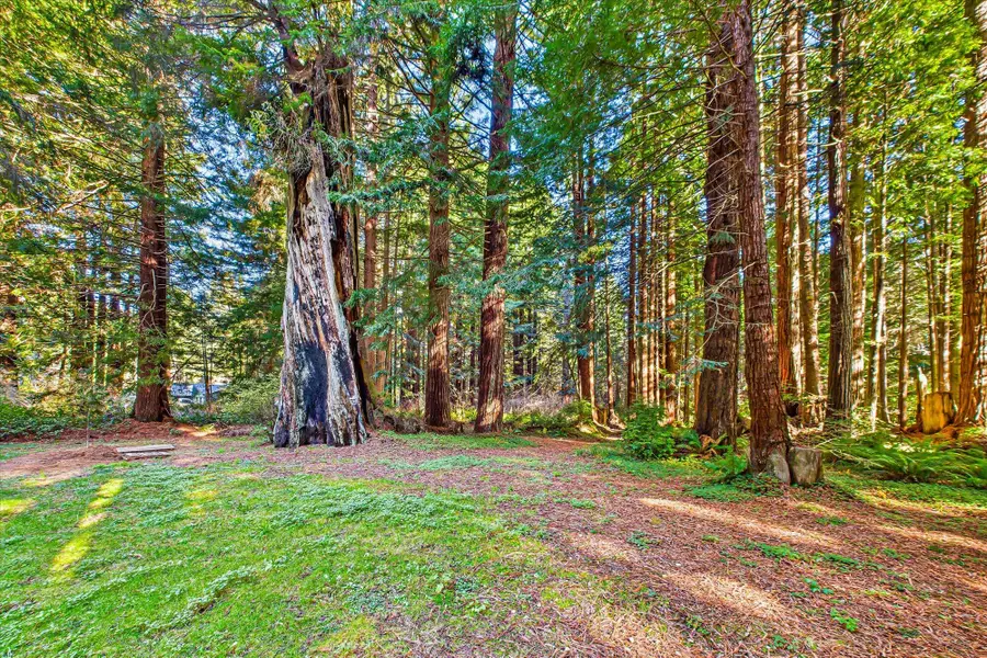 1700 Ferndale Lane, Crescent City, CA 95531 - #2