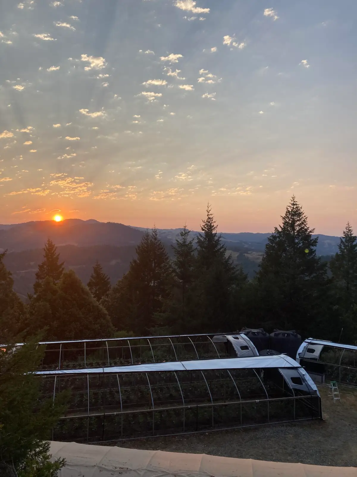 659 Old Briceland Road, Garberville, CA 95542 - Image #1