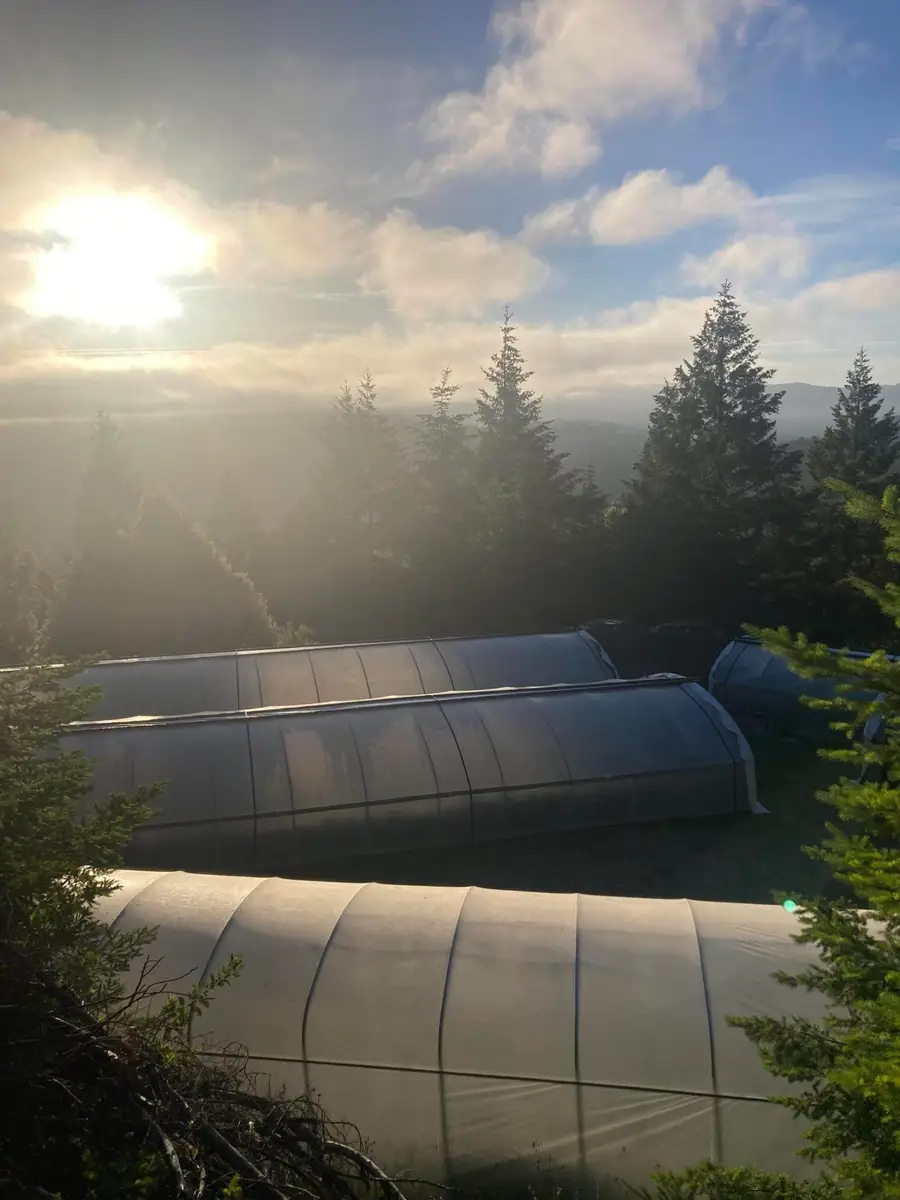 659 Old Briceland Road, Garberville, CA 95542 - Image #2