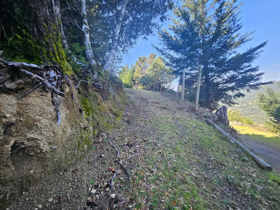 130 Shaller Court, Shelter Cove, CA 95589 - Image #3