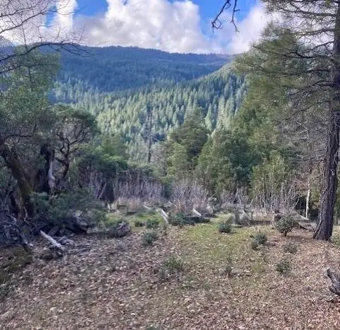 6275 Van Duzen Road, Mad River, CA 95552