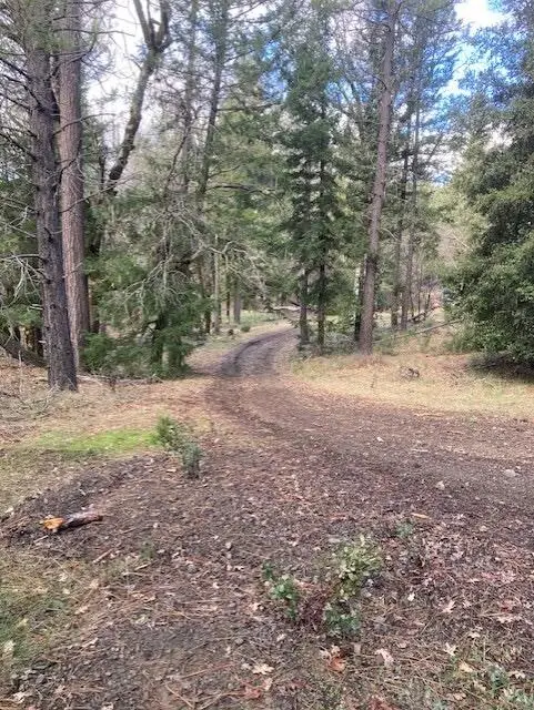 6275 Van Duzen Road, Mad River, CA 95552 - #2