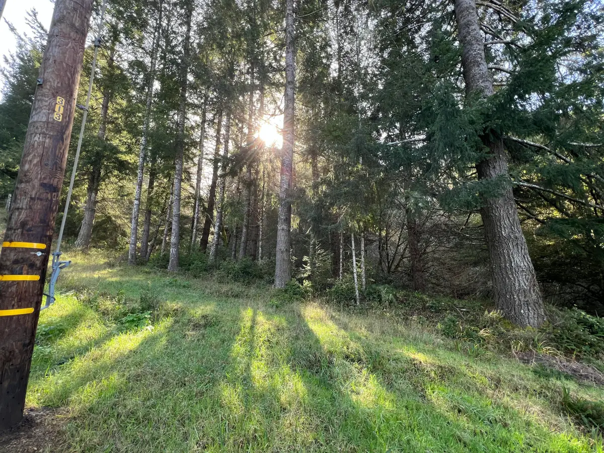 560 Upper Pacific Drive, Shelter Cove, CA 95589 - Image #1