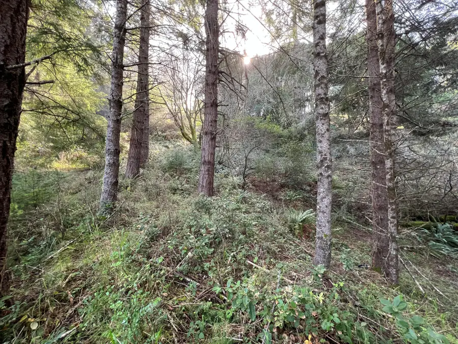 560 Upper Pacific Drive, Shelter Cove, CA 95589 - Image #2