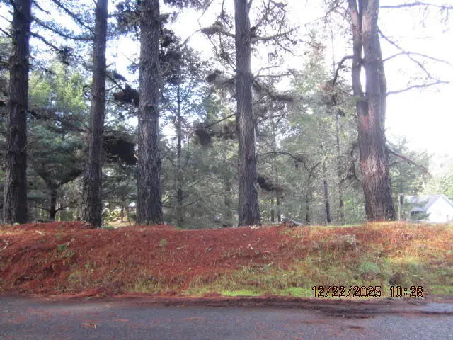 40 Cove View Drive, Shelter Cove, CA 95589 - Image #1