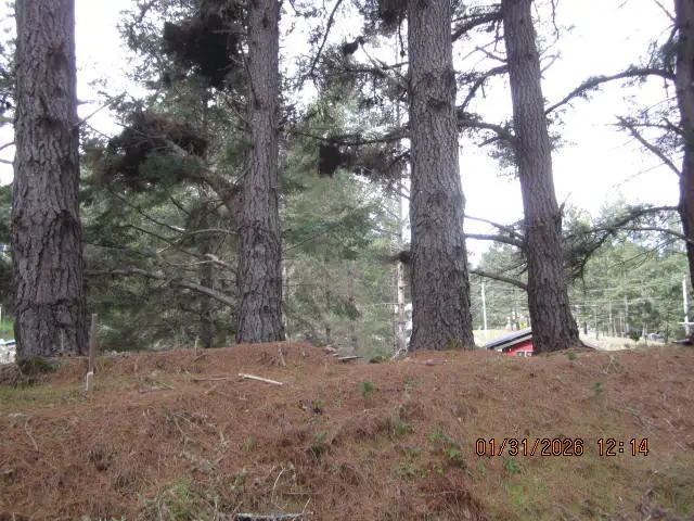 40 Cove View Drive, Shelter Cove, CA 95589 - Image #2