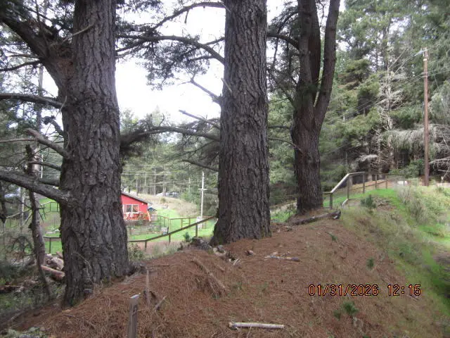 40 Cove View Drive, Shelter Cove, CA 95589 - Image #3