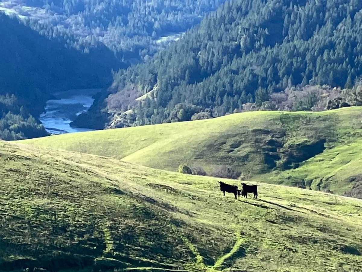 123 Cemetery Road, Blocksburg, CA 95514 - #1