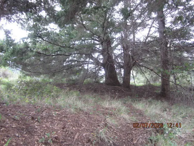 576 Ridge Road, Shelter Cove, CA 95589 - Image #3