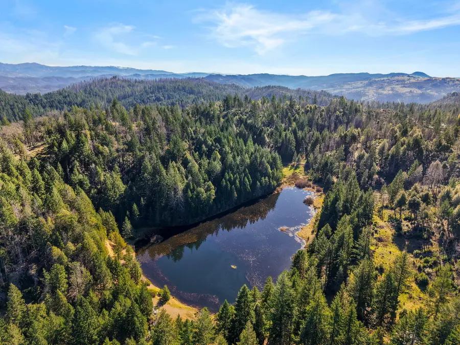 4945 Zenia Lake Mountain Road, Zenia, CA 95595 - #2