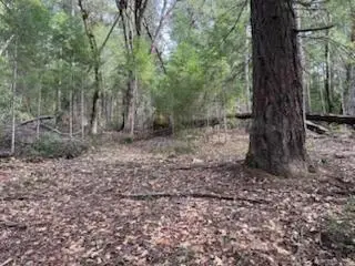 320 Coon Creek Road, Salyer, CA 95563