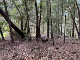 320 Coon Creek Road, Salyer, CA 95563 - #3