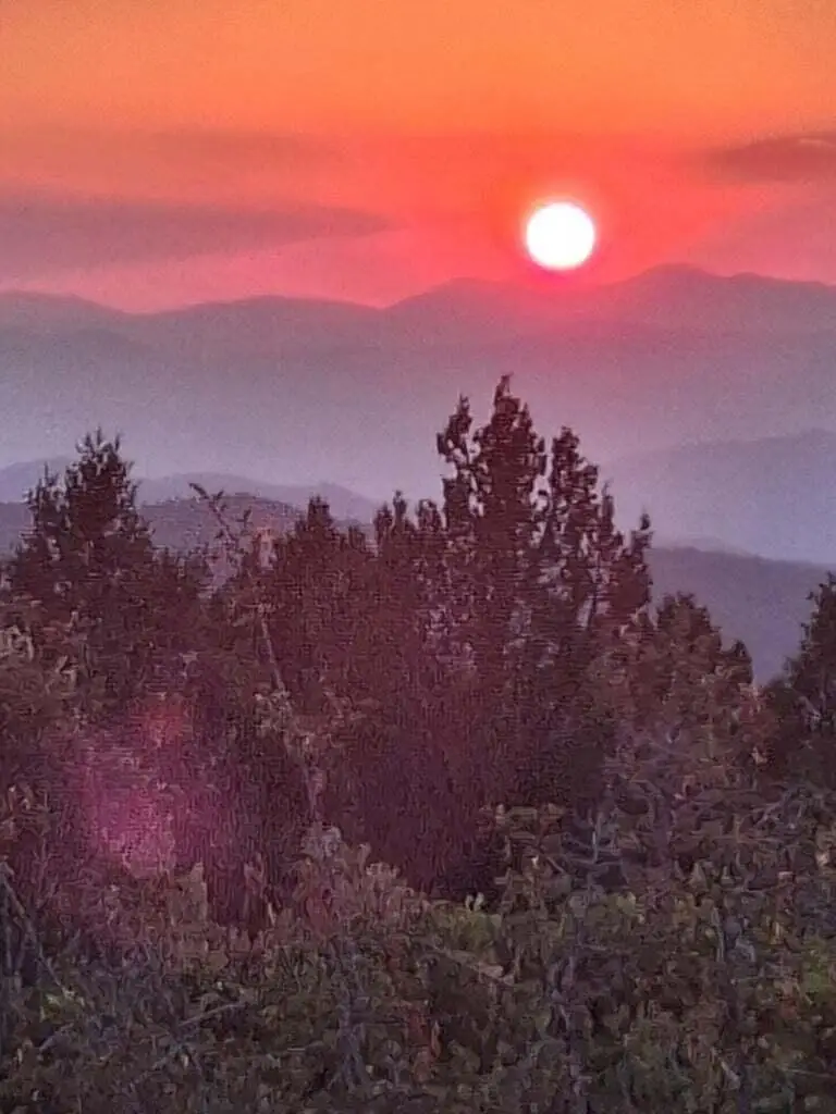 18135 Scarface Road, Fort Jones, CA 96032 - #2