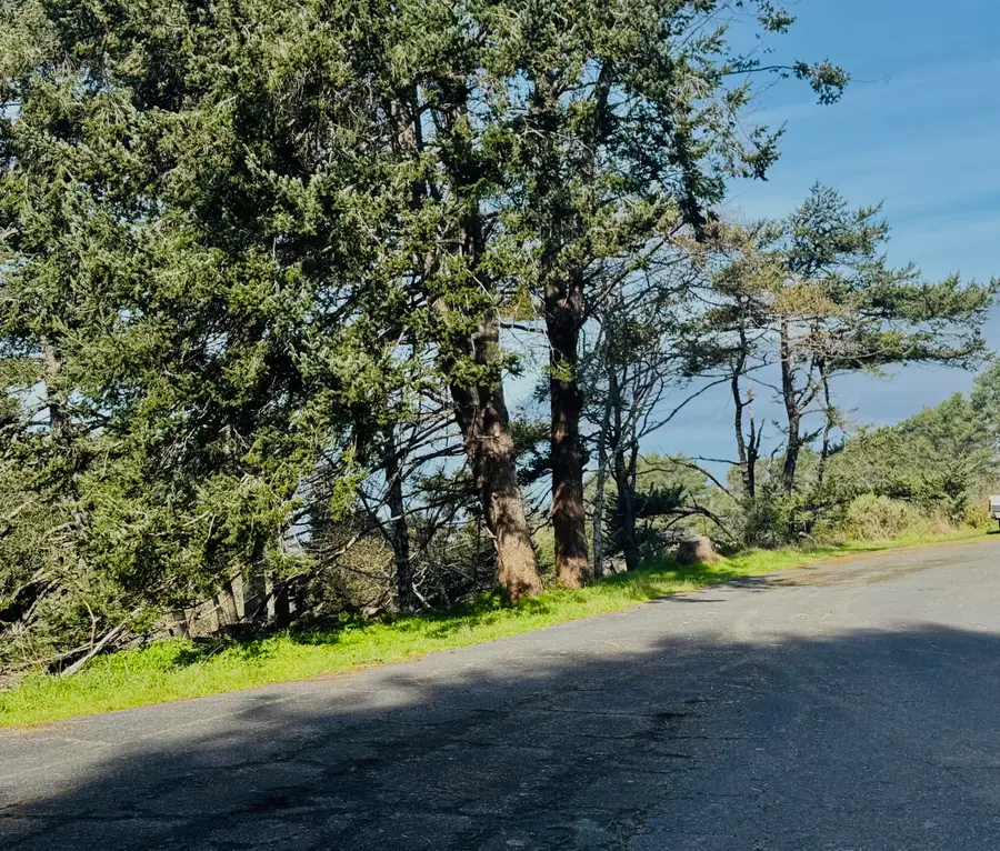 66 Redcrest Court, Shelter Cove, CA 95589 - #2