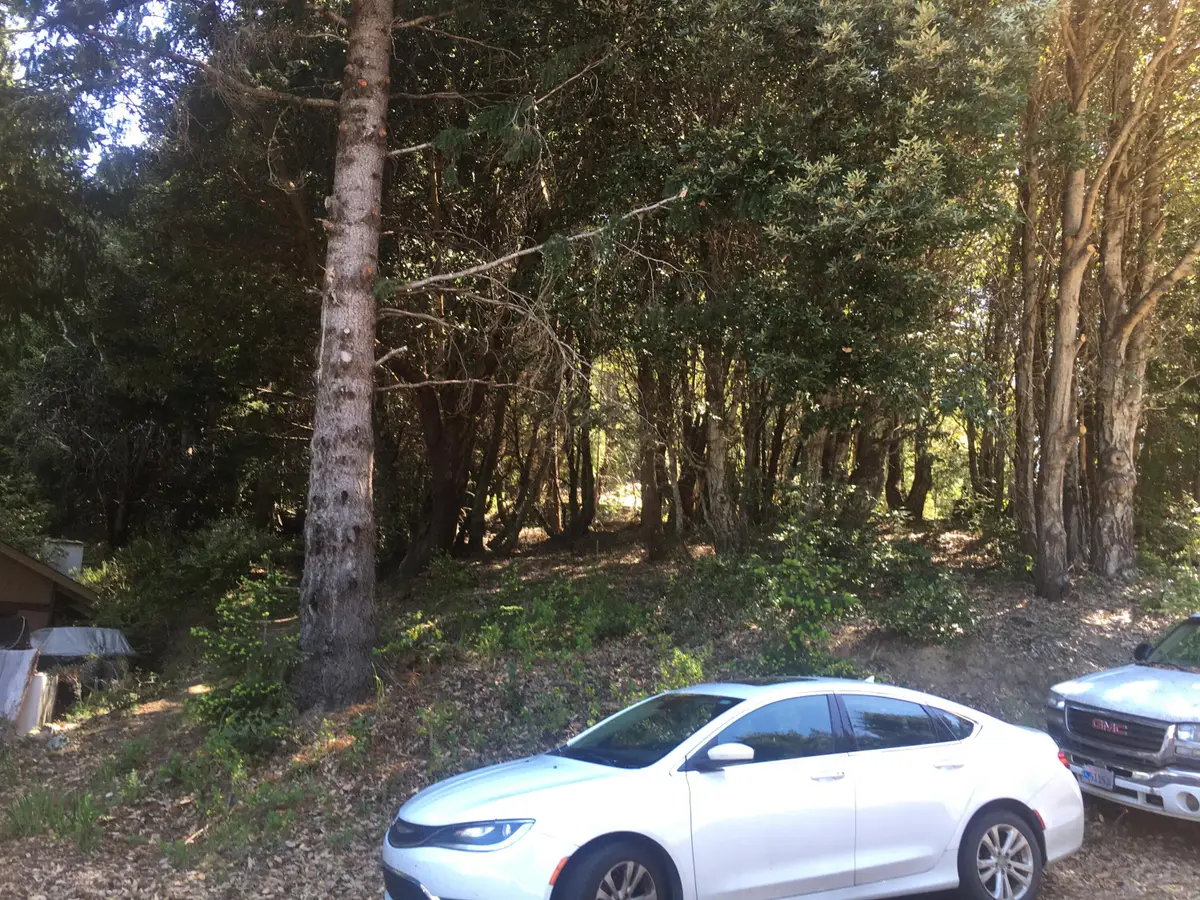 85 Carson Court, Whitethorn, CA 95589 - #1