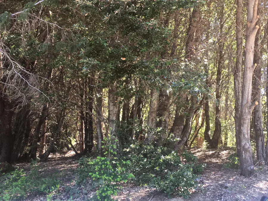 85 Carson Court, Whitethorn, CA 95589 - #2