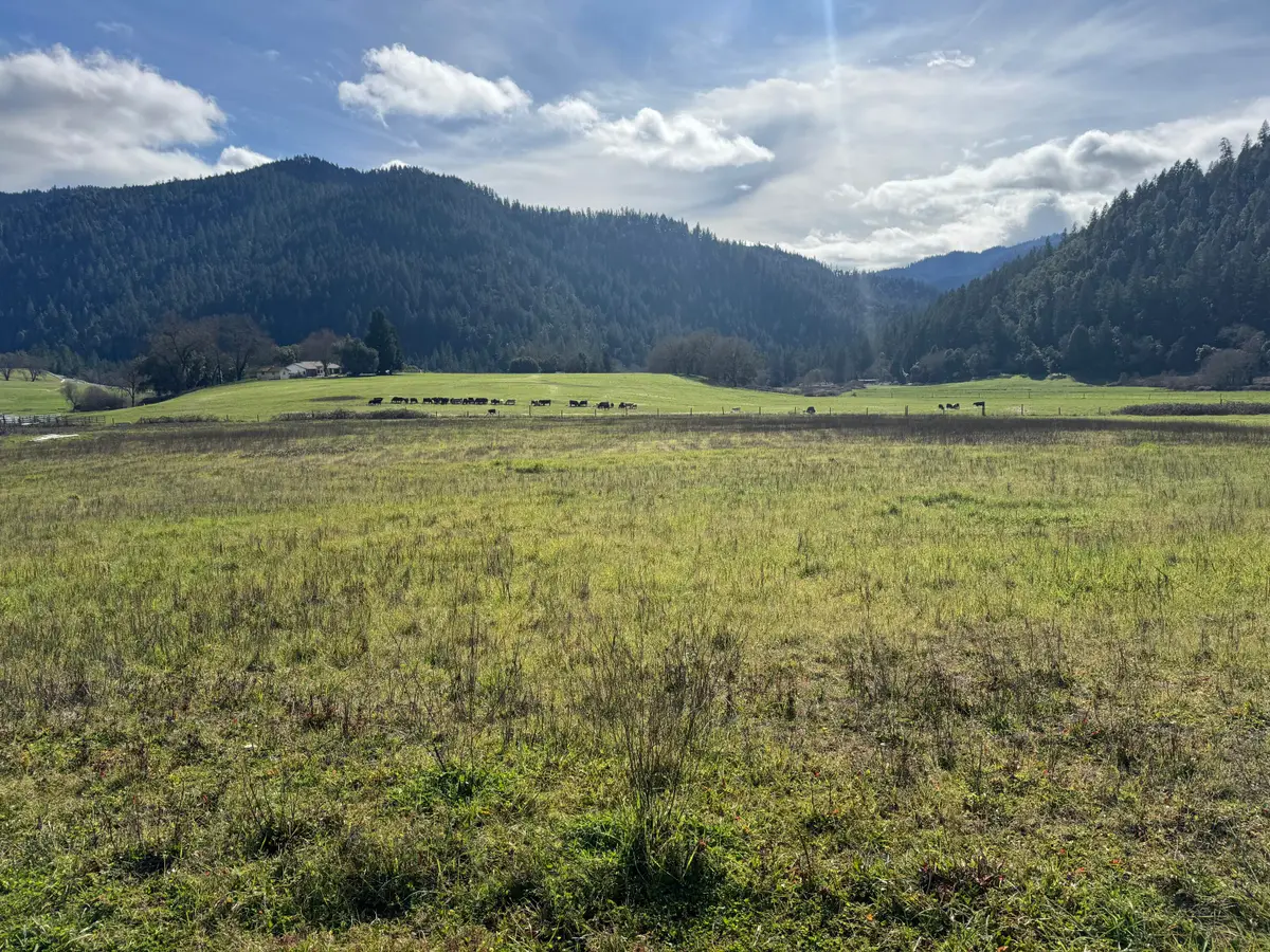 168 Cherry Tree Lane, Salyer, CA 95563 - #1