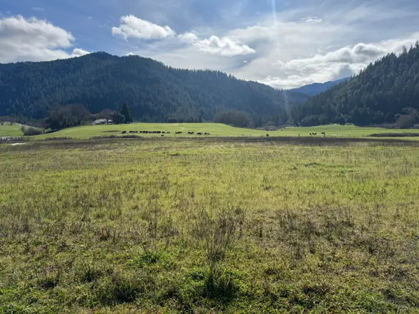 168 Cherry Tree Lane, Salyer, CA 95563