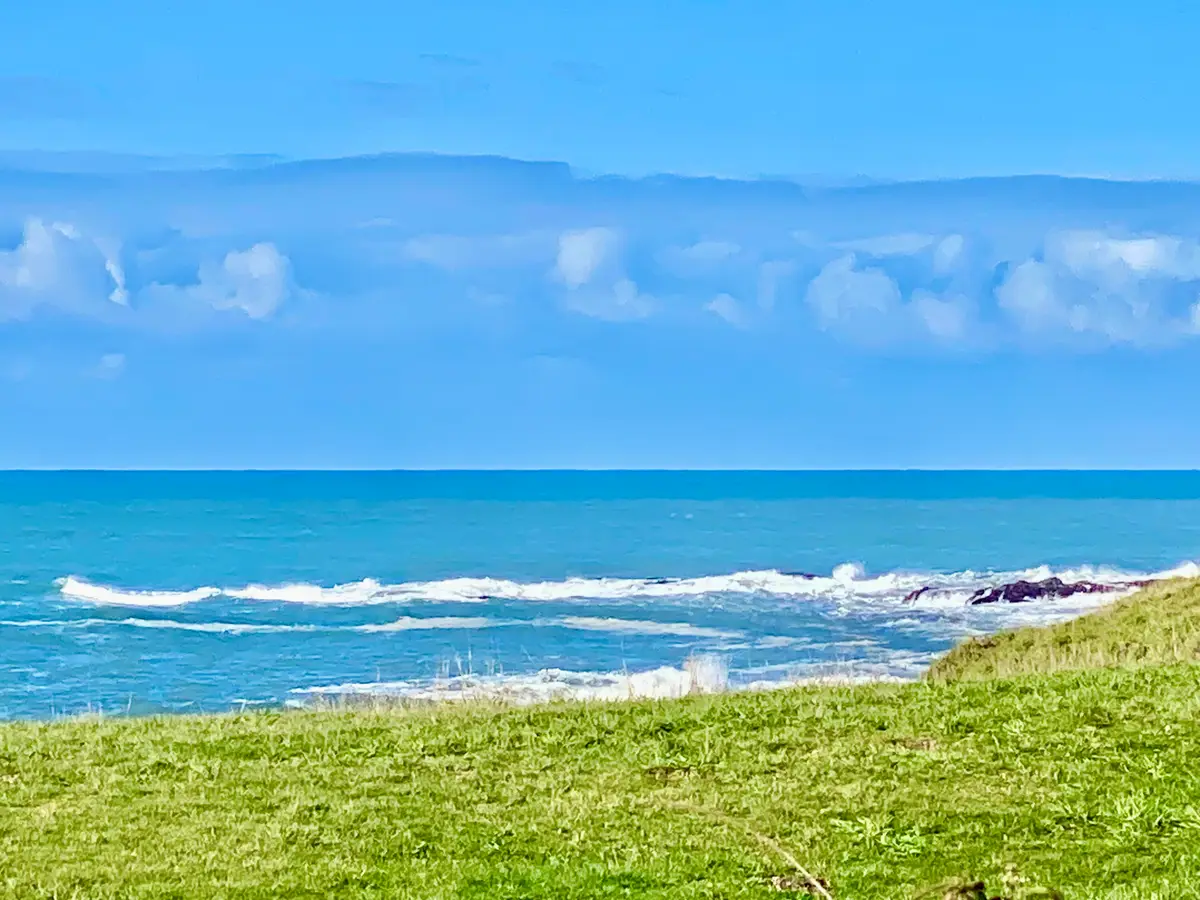 806 Lower Pacific Drive, Shelter Cove, CA 95589 - #1