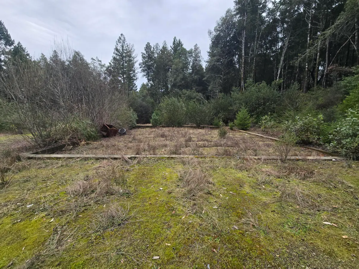 6220 Rancho Sequoia Drive, Alderpoint, CA 95511 - #1