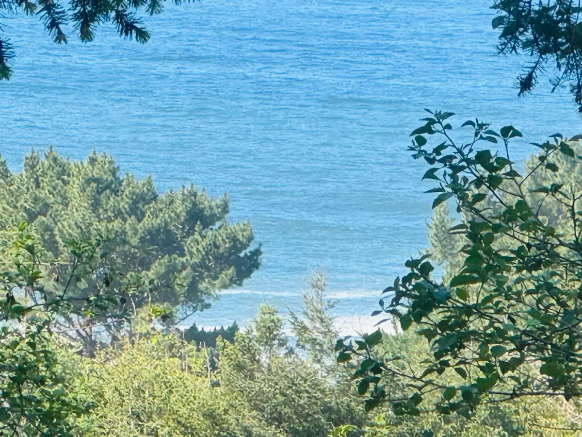 865 Upper Pacific Drive, Shelter Cove, CA 95589 - #1