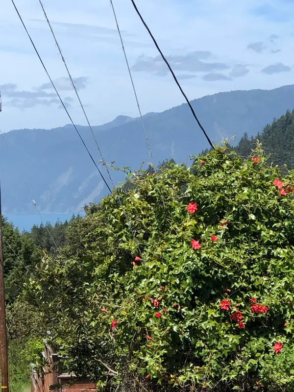 529 Redwood Road, Whitethorn, CA 95589