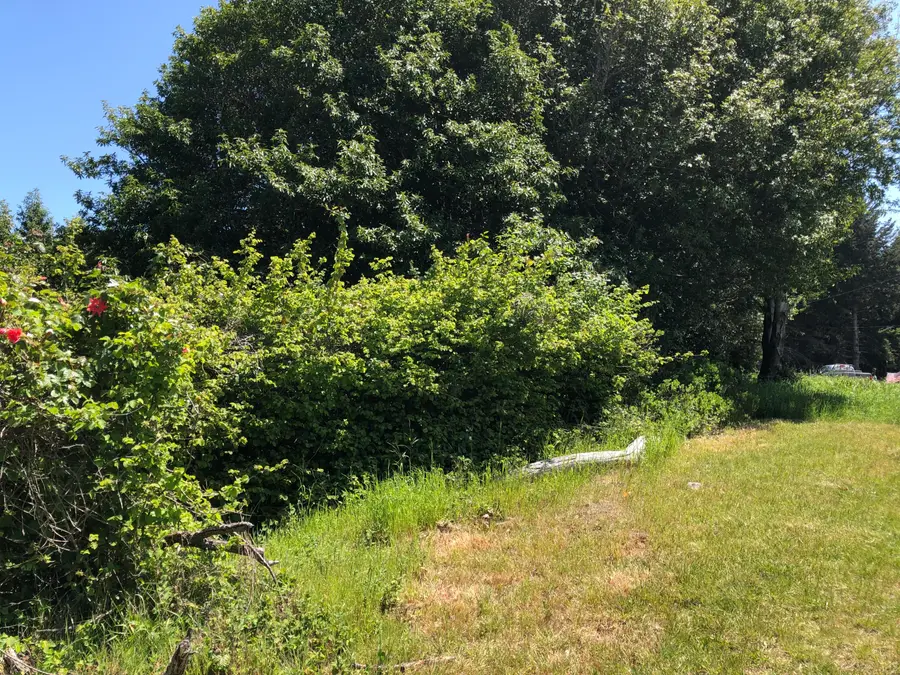 529 Redwood Road, Whitethorn, CA 95589 - #2