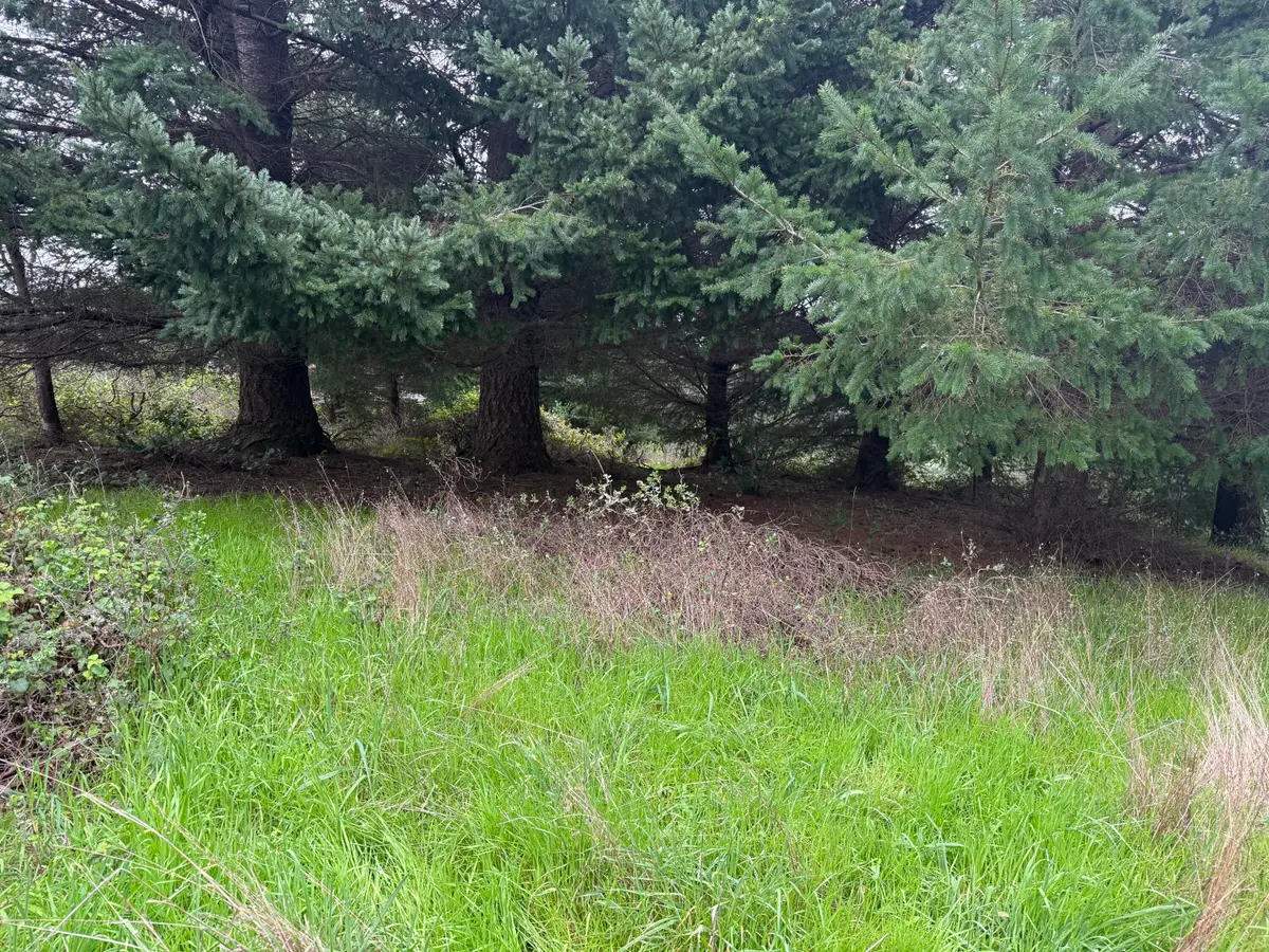 95 Vista Road, Shelter Cove, CA 95589 - #1