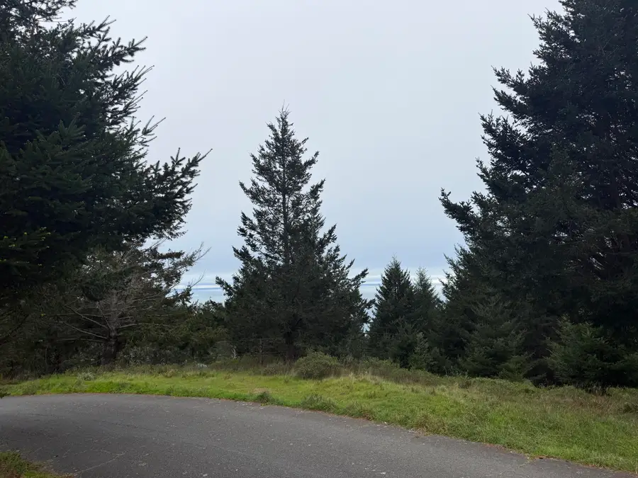95 Vista Road, Shelter Cove, CA 95589 - #2