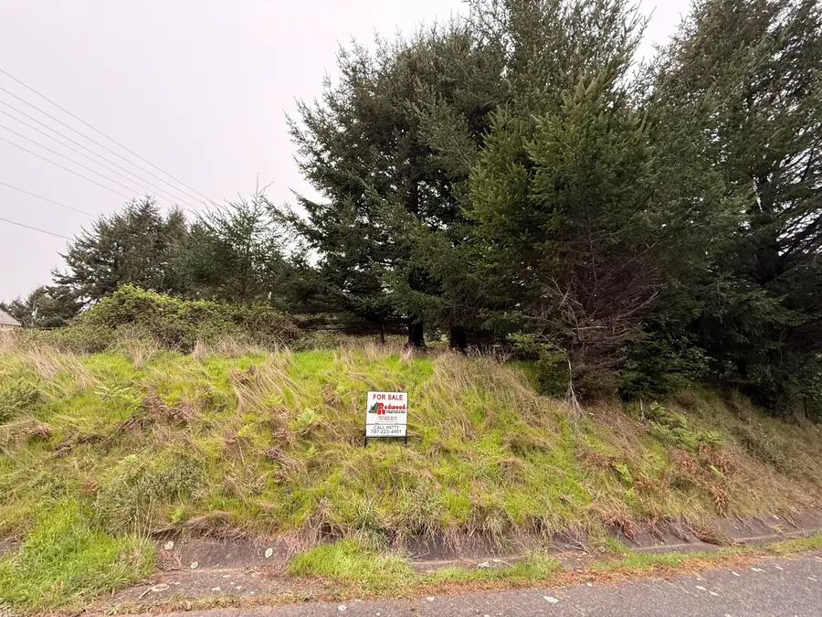 95 Vista Road, Shelter Cove, CA 95589 - #3