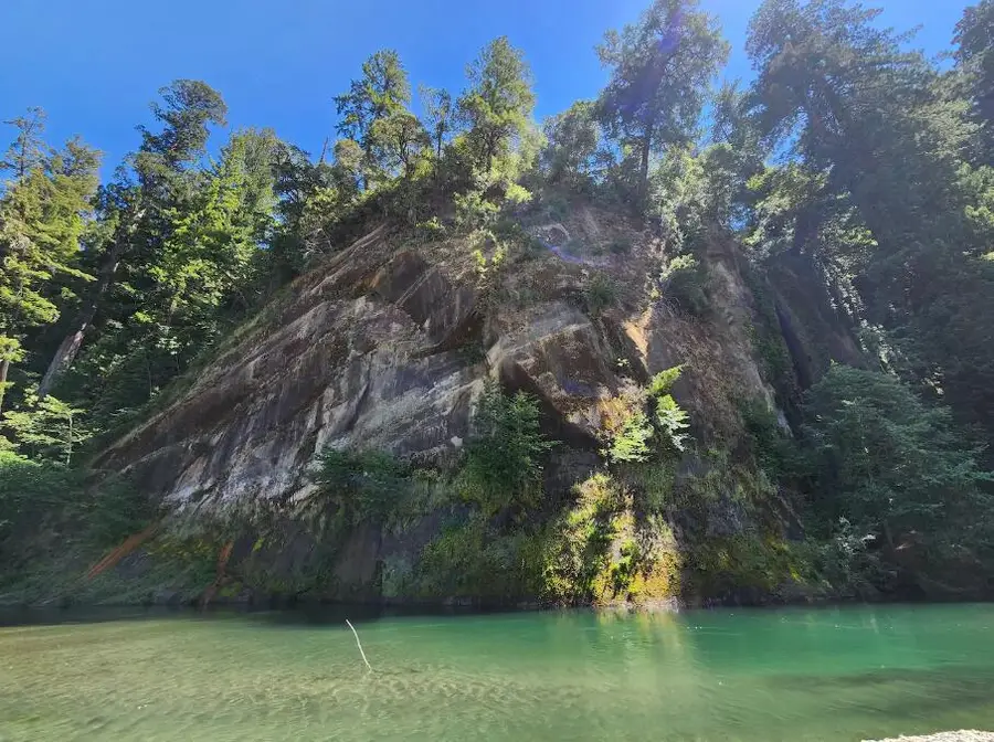 243 Forest Drive, Redway, CA 95560 - #2