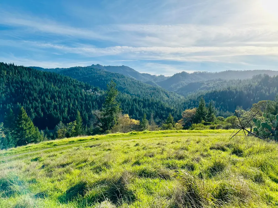 5841 Avenue Of The Giants None, Miranda, CA 95553 - #2