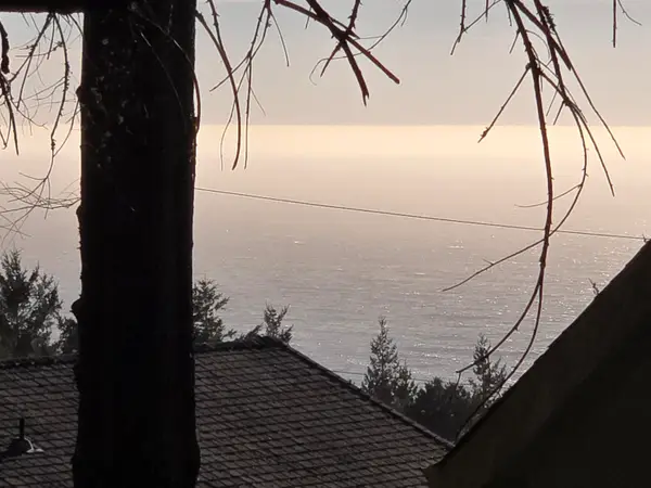 90 Spur Court, Whitethorn, CA 95589