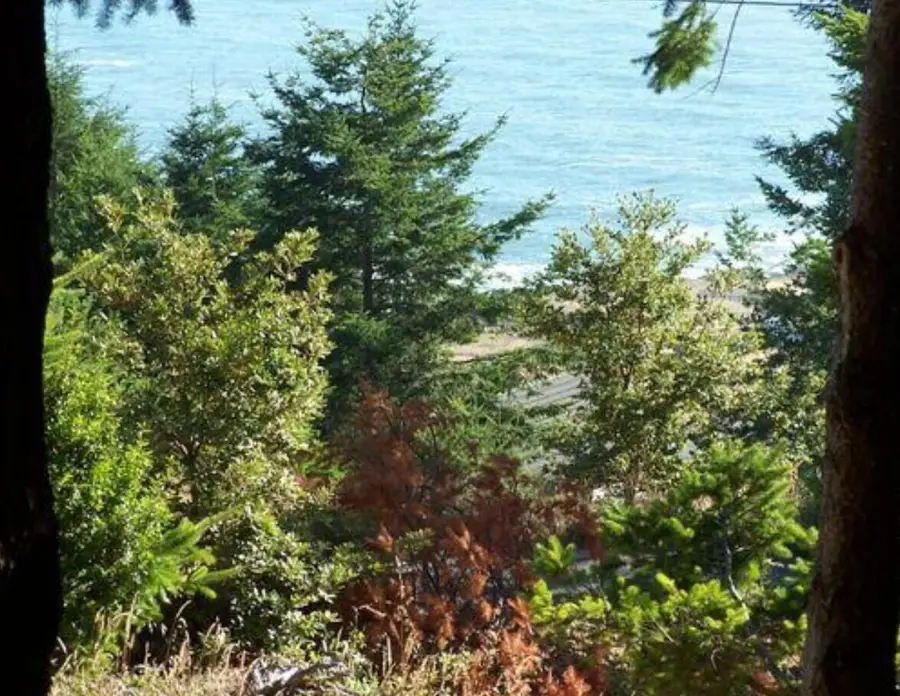 90 Spur Court, Whitethorn, CA 95589 - #2