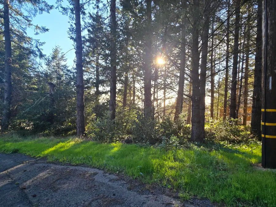 90 Spur Court, Whitethorn, CA 95589 - #3