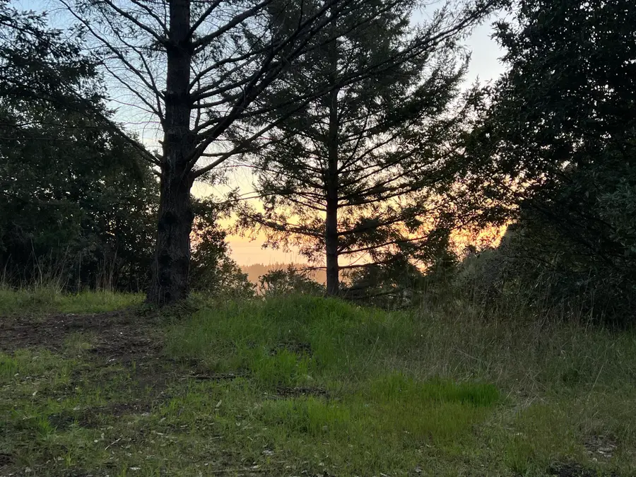 911 Puma Drive, Whitethorn, CA 95589 - #2