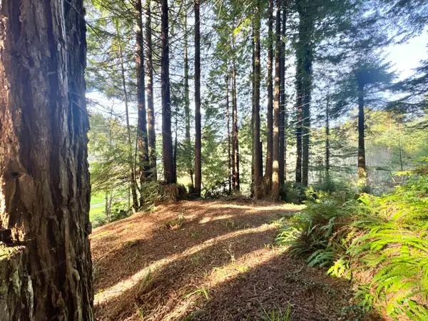 000 Spears Road, Freshwater, CA 95503