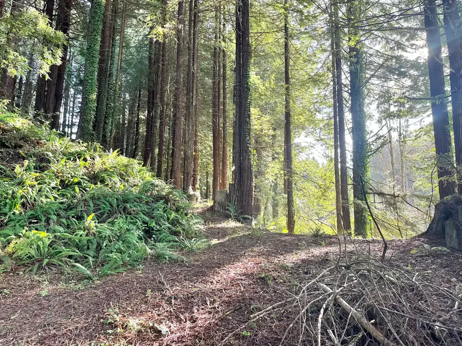 000 Spears Road, Freshwater, CA 95503 - #3