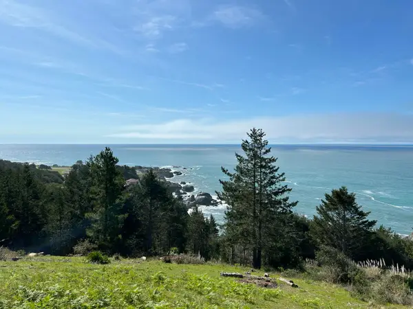 124 Eel Court, Whitethorn, CA 95589