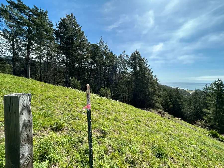 124 Eel Court, Whitethorn, CA 95589 - #3