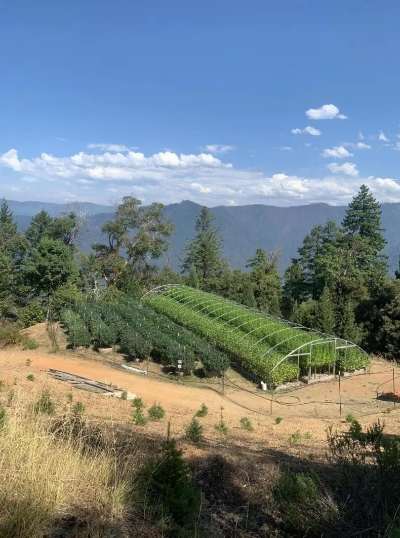 138 +/- California Hwy 299, Willow Creek, CA 95573 - #3