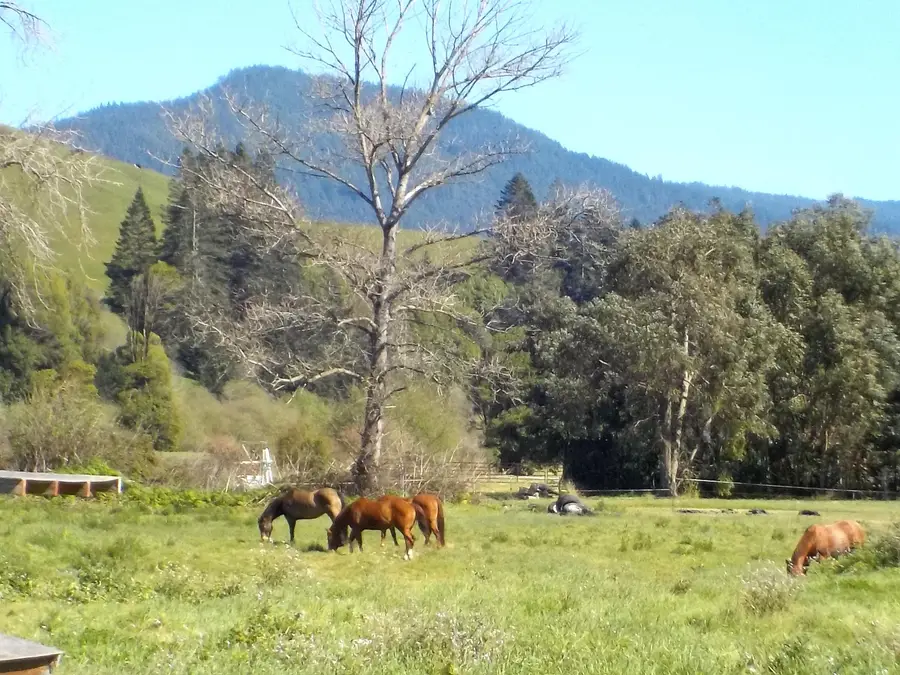 1489 River Bar Road, Hydesville, CA 95547 - #2