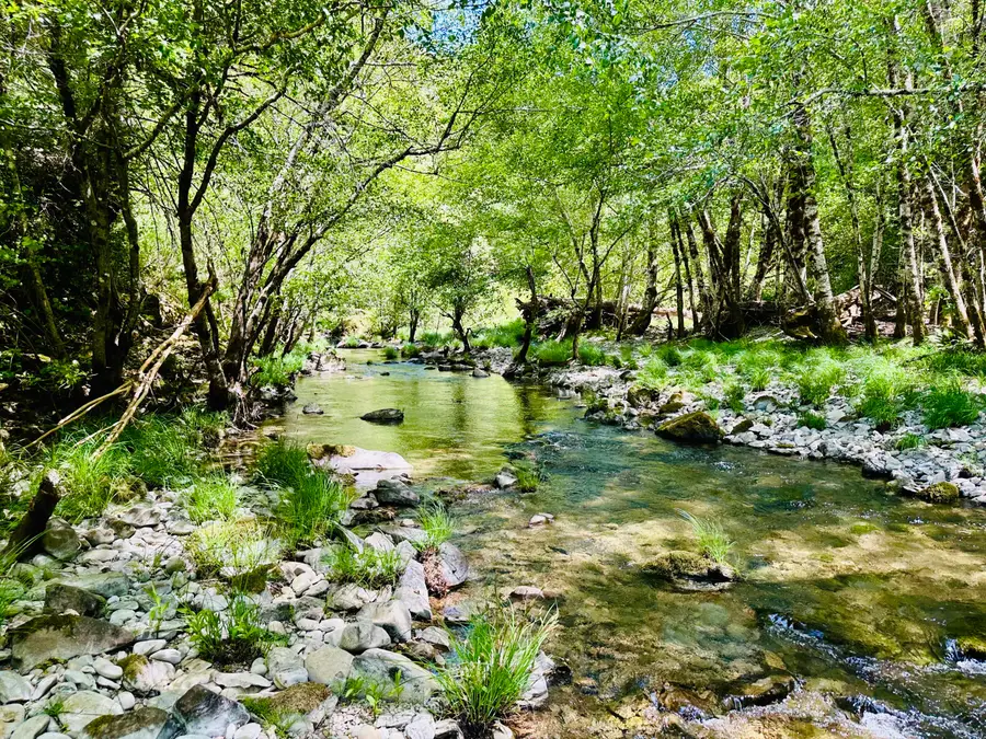 5500 Goodman Ranch Road, Whitethorn, CA 95589 - #3