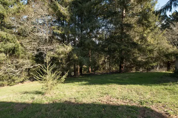 0000 Worthington Drive, Eureka, CA 95503