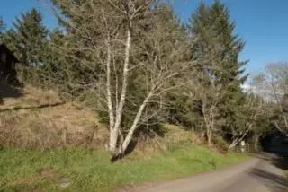 0000 Worthington Drive, Eureka, CA 95503 - #3