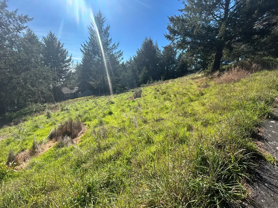 66 Vista Road, Shelter Cove, CA 95589 - #3