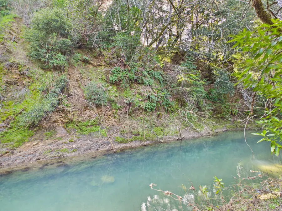 5350 Briceland Road, Garberville, CA 95542 - #2